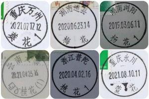 亚洲 久久久久久一二三区免费,久久久久久一二三区,探寻多元文化魅力