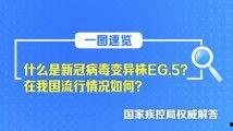 精产品精一二二区在线观看